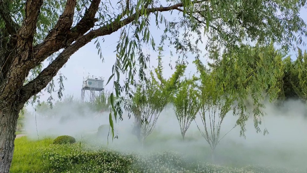 雾森系统造价多少？