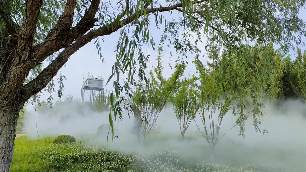 山东滨州景区雾森